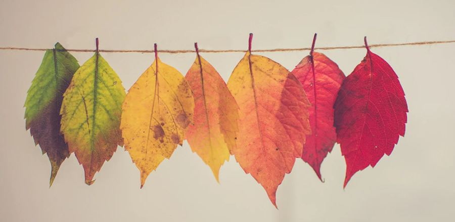 otoño dentista madrid