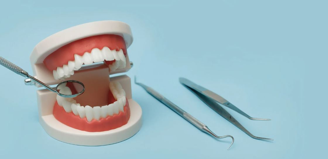 adultos cuando ir al dentista